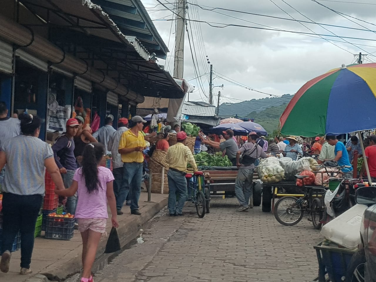 esteli